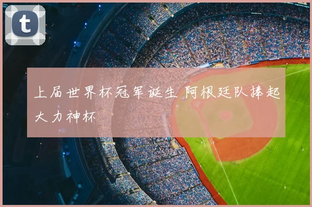 上届世界杯冠军诞生 阿根廷队捧起大力神杯