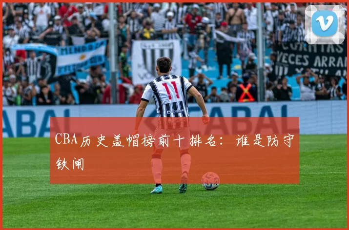 CBA历史盖帽榜前十排名：谁是防守铁闸