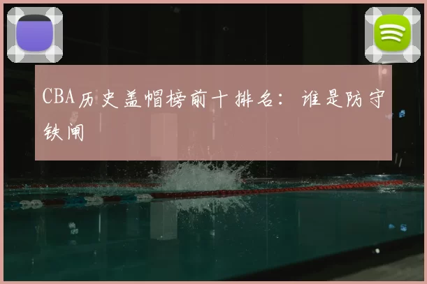 CBA历史盖帽榜前十排名：谁是防守铁闸